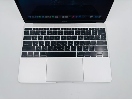 Apple MacBook 12 2015 Intel M 8GB RAM 256GB SSD Silver фото