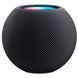 Вживана Smart колонка Apple HomePod mini Space Grey (MY5G2) фото 1