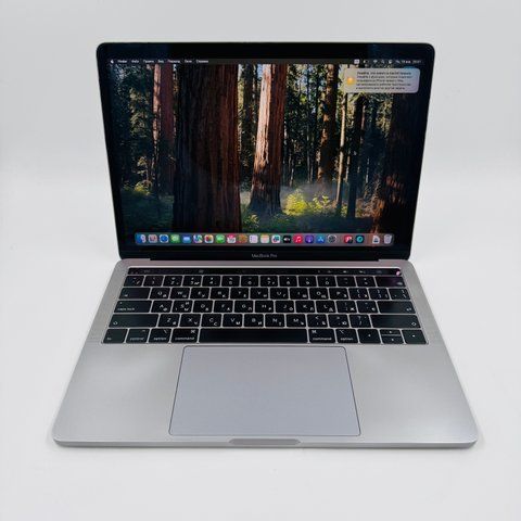 Apple MacBook Pro 13 2019 i5 8GB RAM 128GB SSD Space Gray фото