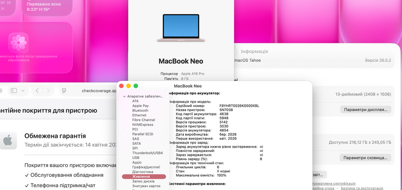 Apple MacBook Neo 13 A18 Pro 8GB RAM 256GB SSD Blush фото