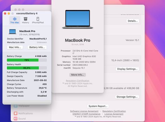 Apple MacBook Pro 15 2018 i7 16GB RAM 512GB SSD AMD 4GB Space Gray фото